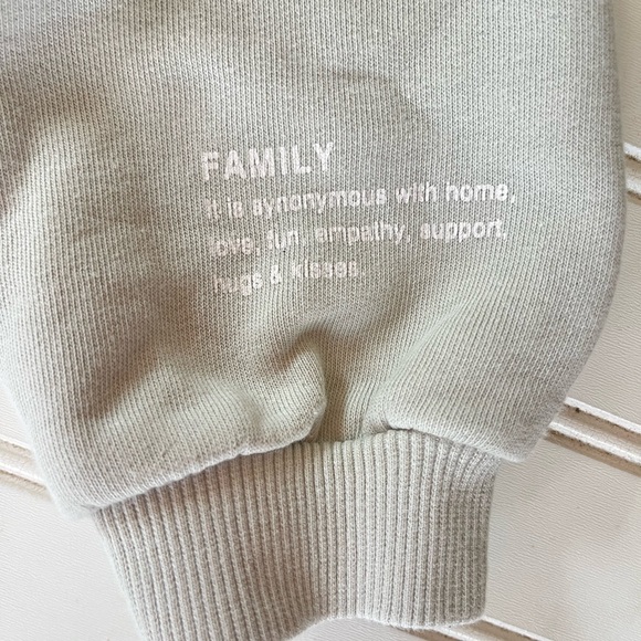 ZARA EUC/LN Soft Dusty Sage Green French Terrycloth Pullover Hoodie Sweatshirt - Picture 2 of 4